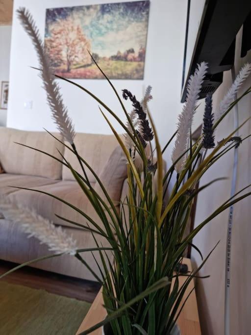 Gs Home 伊西翁 外观 照片